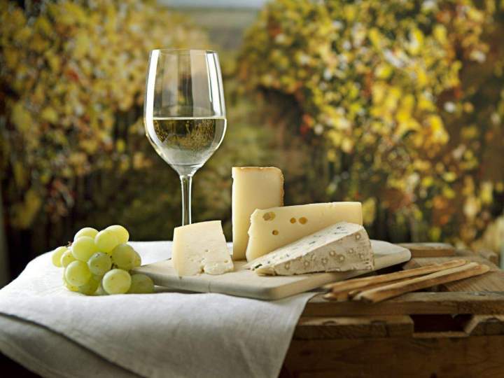 Aménagement de micro-vignoble Provence-Alpes-Côte d'Azur
