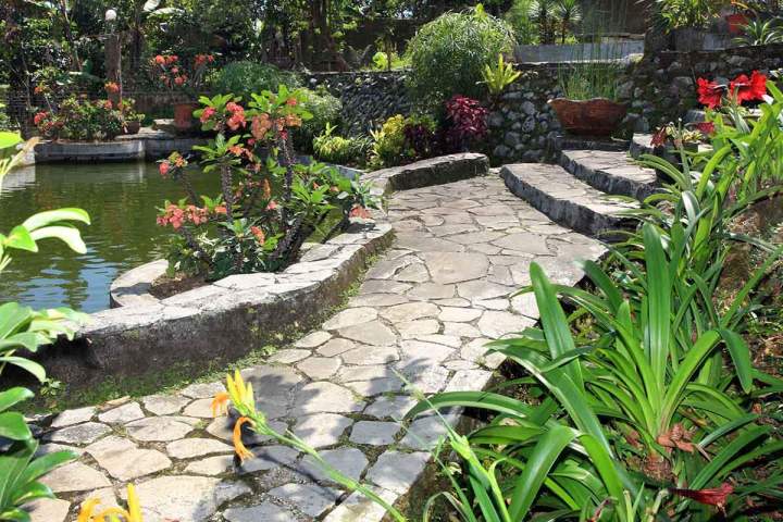 Quels végétaux choisir pour un jardin facile à entretenir ? Provence-Alpes-Côte d'Azur