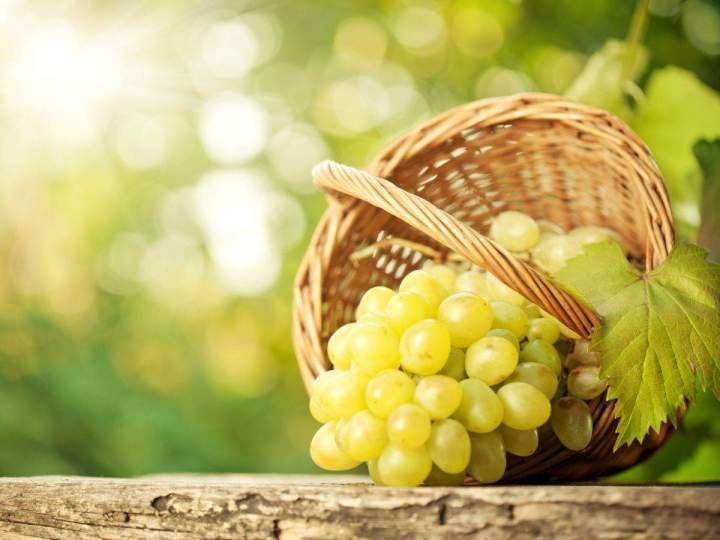 Aménagement micro-vignoble Provence-Alpes-Côte d'Azur